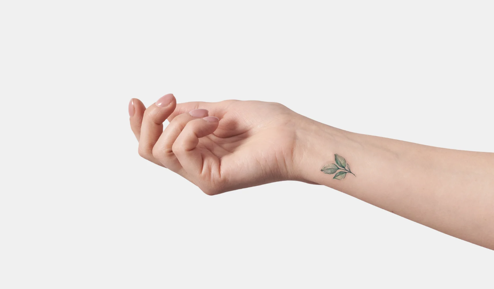 scar coverup in kochi #tattooed #art #tattooartist #tattoodesign  #tattoodesign #https://www.facebook.com/tattoo.studio.… | Tattoo studio,  Tattoos, Jesus fish tattoo